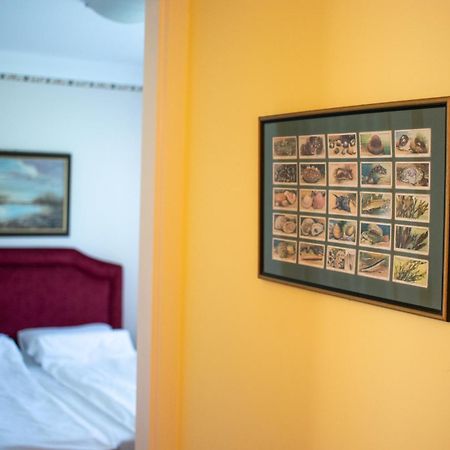 Kiskakas Vendégház Székkutas Extérieur photo